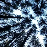 Διαμέρισμα Modernes Schwarzwald Naehe Freiburg Winden im Elztal