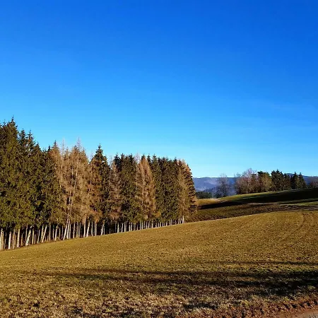 Apartmán Modernes Schwarzwald Naehe Freiburg *