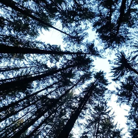 Lägenhet Modernes Schwarzwald Naehe Freiburg Winden im Elztal