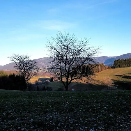 Modernes Schwarzwald Naehe Freiburg * Winden im Elztal